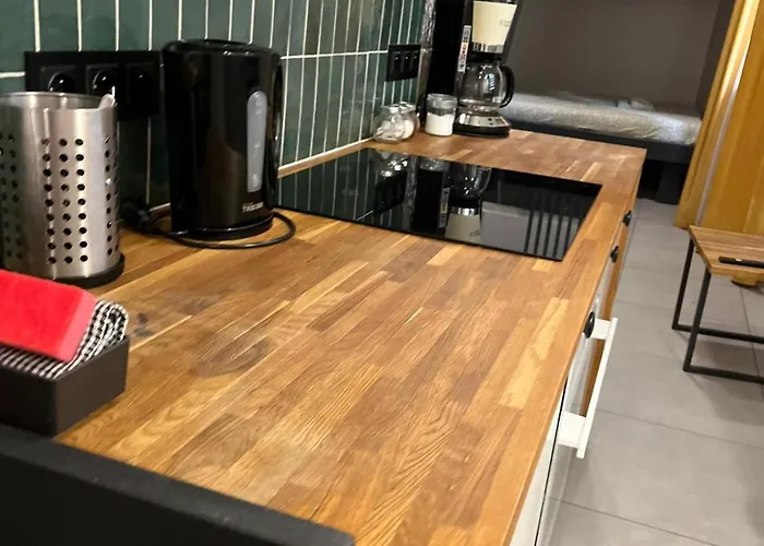 Apartament Loftline Katowice