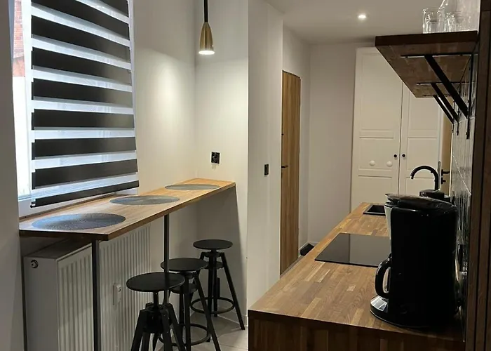 Loftline Apartament Katowice